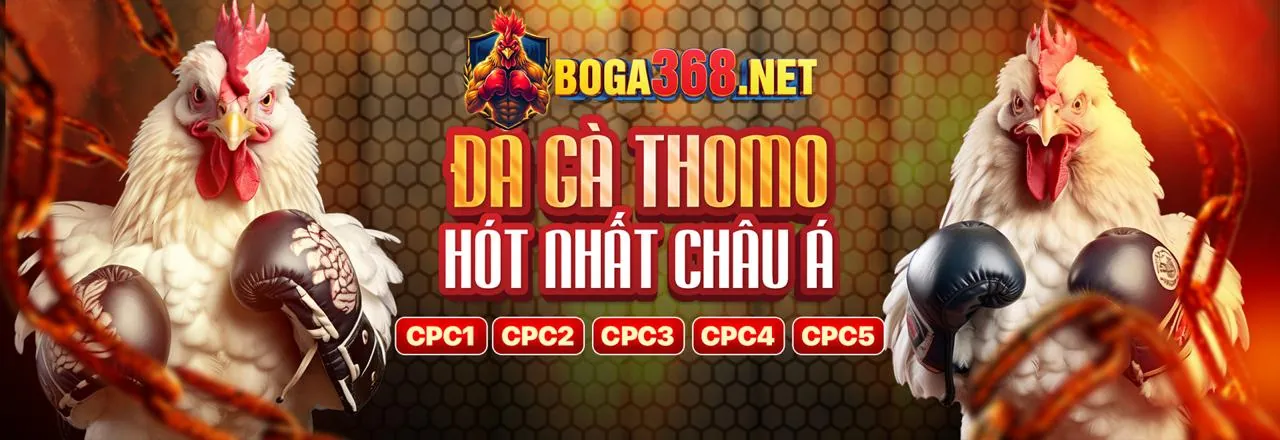 Ứng dụng 68bet trên điện thoại di động